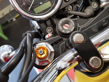 ANDREANI Cartridge für MOTO GUZZI V7 bis 2012 (Marzocchi Gabel)